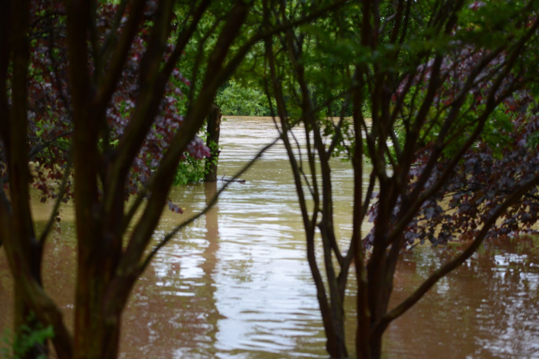 Flood
